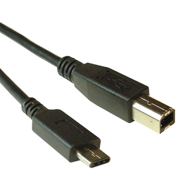 Picture of A-USB31C-20B-100  