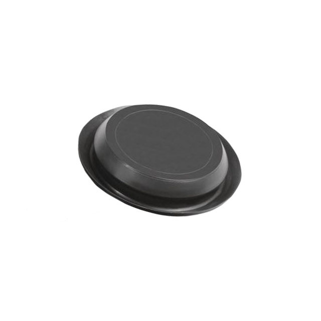 Picture of SR2A