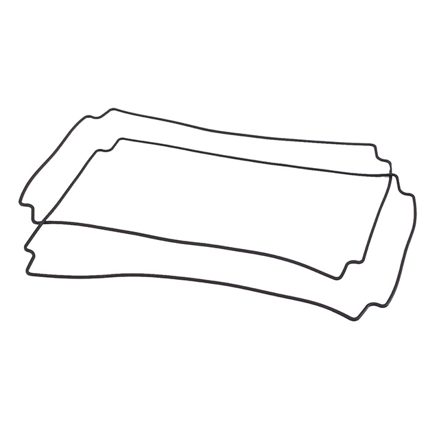 Picture of 1554VGASKET  