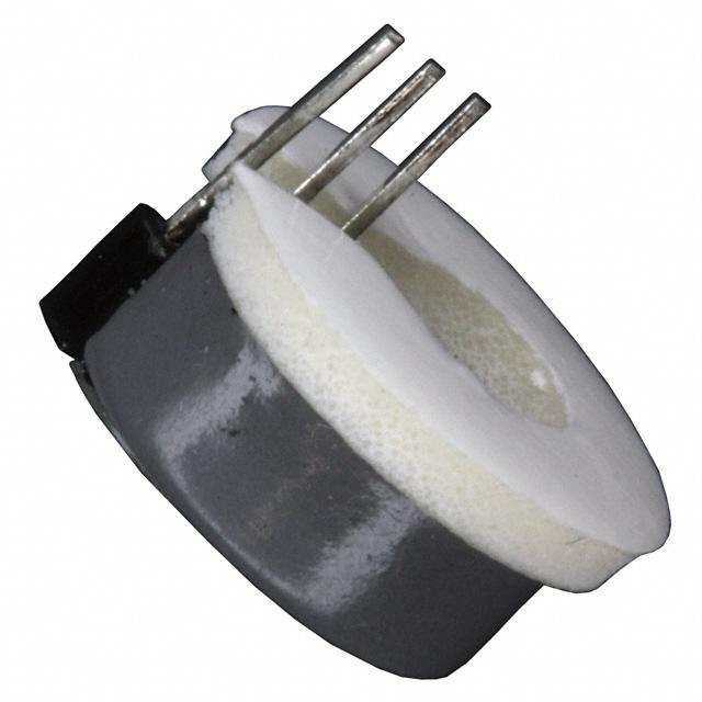 Picture of CSLT6B100