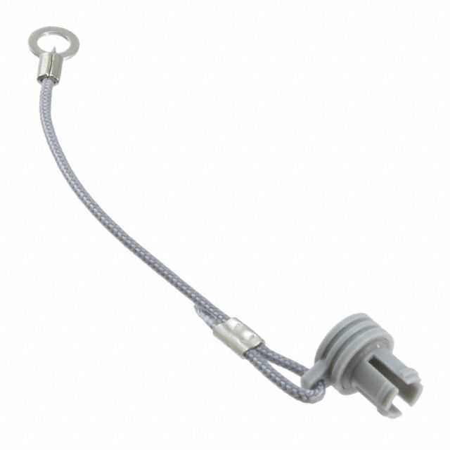 Picture of BRA.00.200.PCSG  