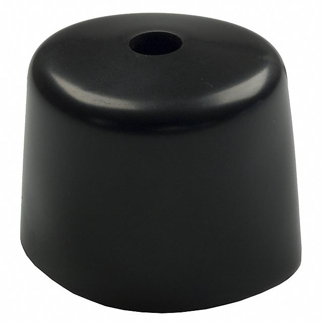 Picture of RSB1  