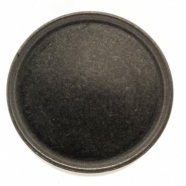 Picture of DS1993L-F5+