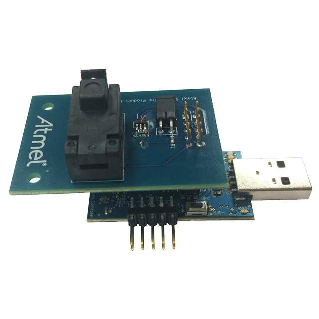 Picture of AT21CSMK100