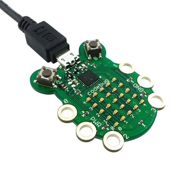 Picture of CODEBUG