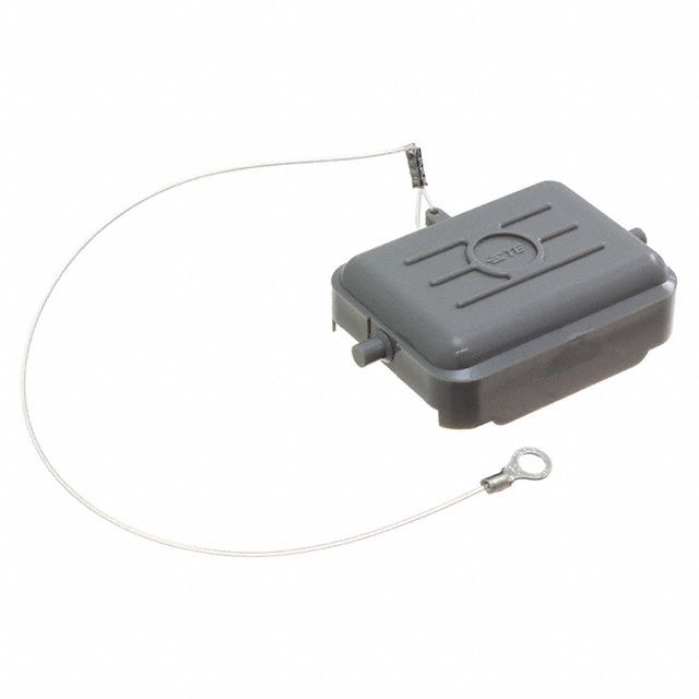 Picture of T1010062100-000