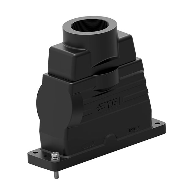 Picture of T1916240163-001