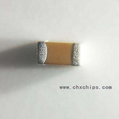Picture of 0402X105K6R3NT