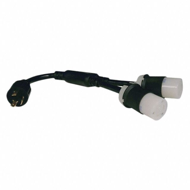 Picture of P041-001-2  