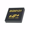 Picture of BGM121N256V2