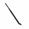 Picture of TANGO33/0.67M/SMAM/S/S/17